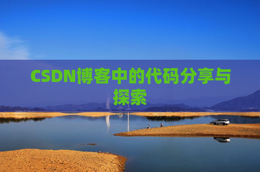 CSDN博客中的代码分享与探索